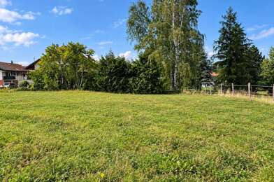 Terrain  198000 €