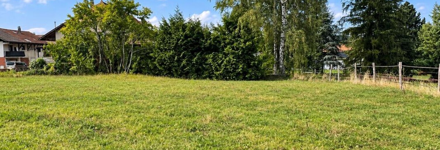 Terrain  550 m² à vendre à Draillant (74550)