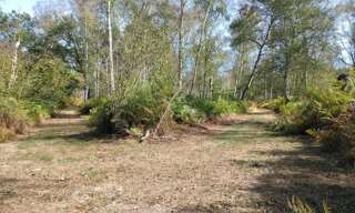 Terrain  159251 m² à vendre à La Ferté-Saint-Aubin (45240)
