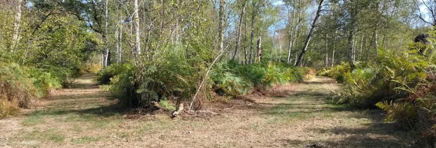 Terrain  159251 m² à vendre à La Ferté-Saint-Aubin (45240)