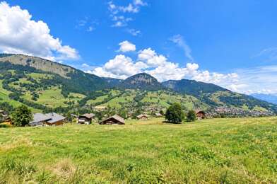 Terrain  520000 €