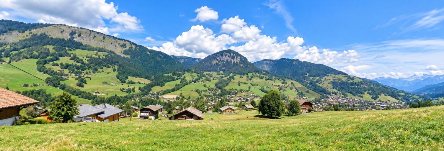 Terrain  888 m² à vendre à Praz-sur-Arly (74120)