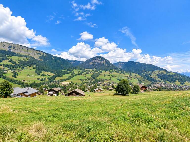 Terrain Praz Sur Arly 888 m2 — photo 1