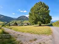 Terrain Praz Sur Arly 888 m2 — photo 2