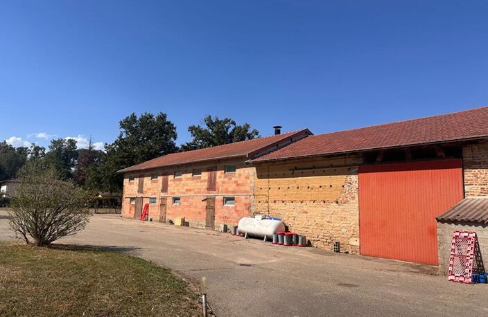 **EXCLUSIVITE** SAINT JEAN SUR REYSSOUZE - FERME DE CARACTÈRE - 8 BÂTIMENTS -  21 000 m² DE TERRAIN - MAISON de 148 m² — photo 3