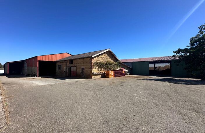 **EXCLUSIVITE** SAINT JEAN SUR REYSSOUZE - FERME DE CARACTÈRE - 8 BÂTIMENTS -  21 000 m² DE TERRAIN - MAISON de 148 m² — photo 5