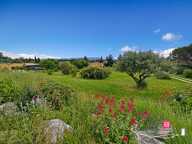 VILLARDONNEL - Villa avec vue sur les Pyrénées, terrain de 2 265 m² — photo 4