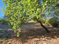 MOIRAX 47310 Terrain constructible de 895 m2 — photo 3