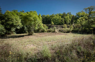 Beau terrain  a-typique constructible de 3199m2 — photo du bien