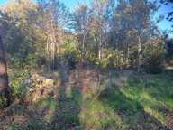 TERRAINS CONSTRUCTIBLES SUR ST SAUVEUR — photo 3