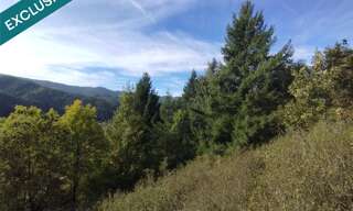 Terrain  8045 m² à vendre à Saint-Martin-de-Valamas (07310)