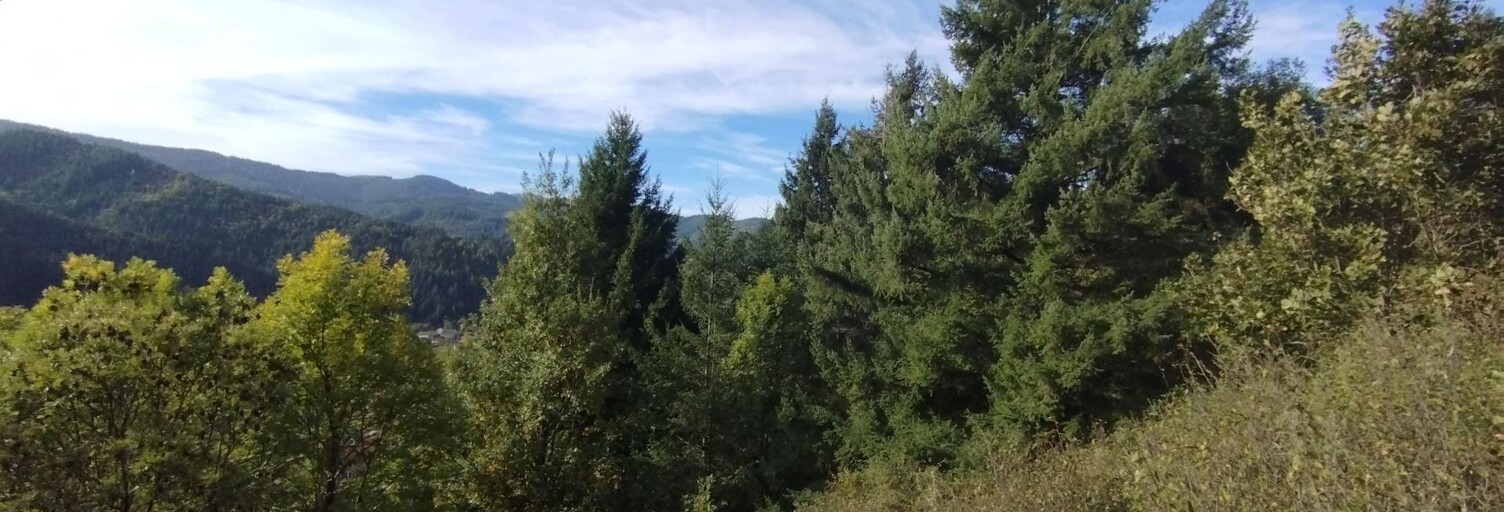 Terrain  8045 m² à vendre à Saint-Martin-de-Valamas (07310)