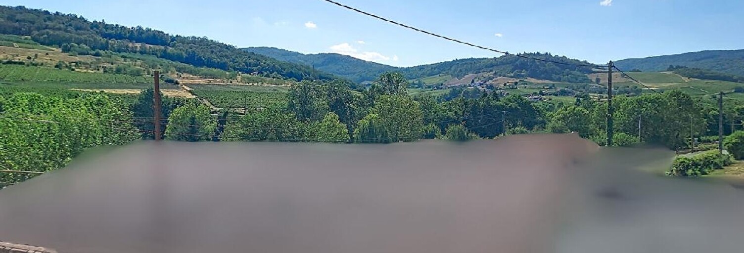 Maison 7 Pièces 220 m² à vendre à Lantignié (69430)