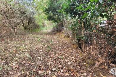 Terrain  42000 €