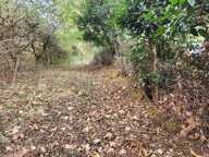 Vente Terrain 12 770 m&sup2; — photo 4