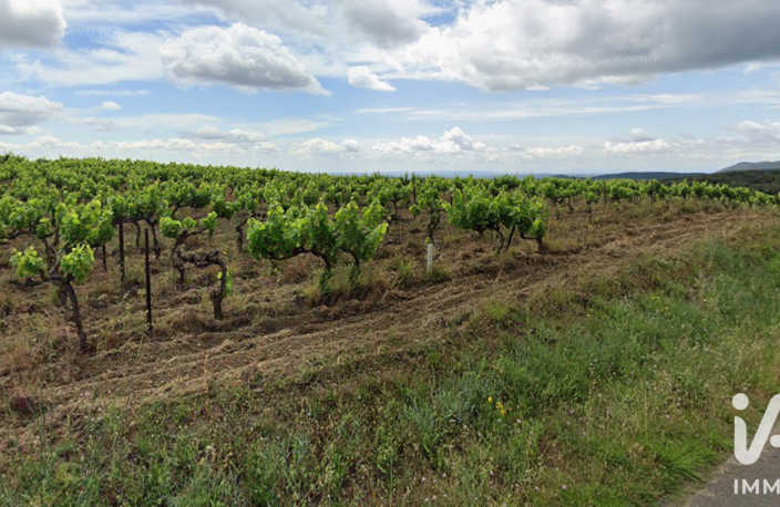 Vente Agriculture, Viticulture — photo 2
