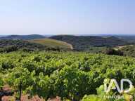 Vente Agriculture, Viticulture — photo 3