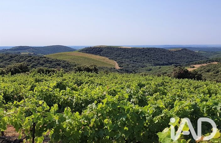 Vente Agriculture, Viticulture — photo 3