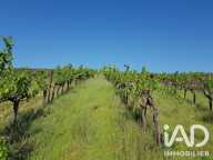 Vente Agriculture, Viticulture — photo 4