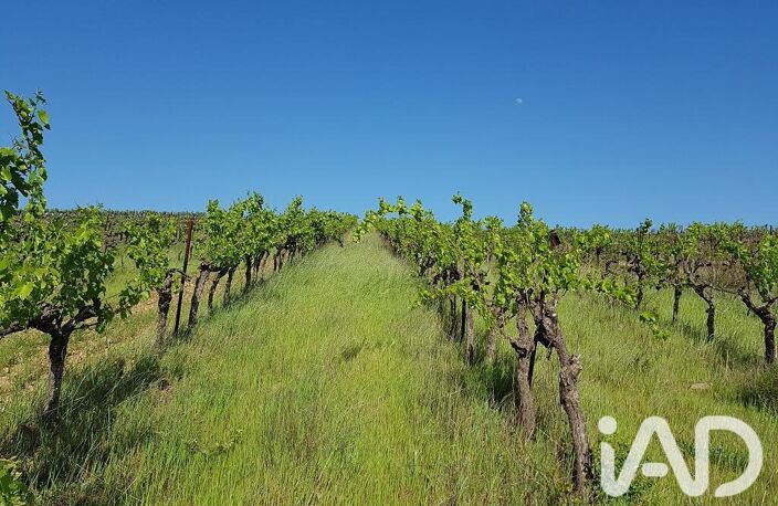 Vente Agriculture, Viticulture — photo 4