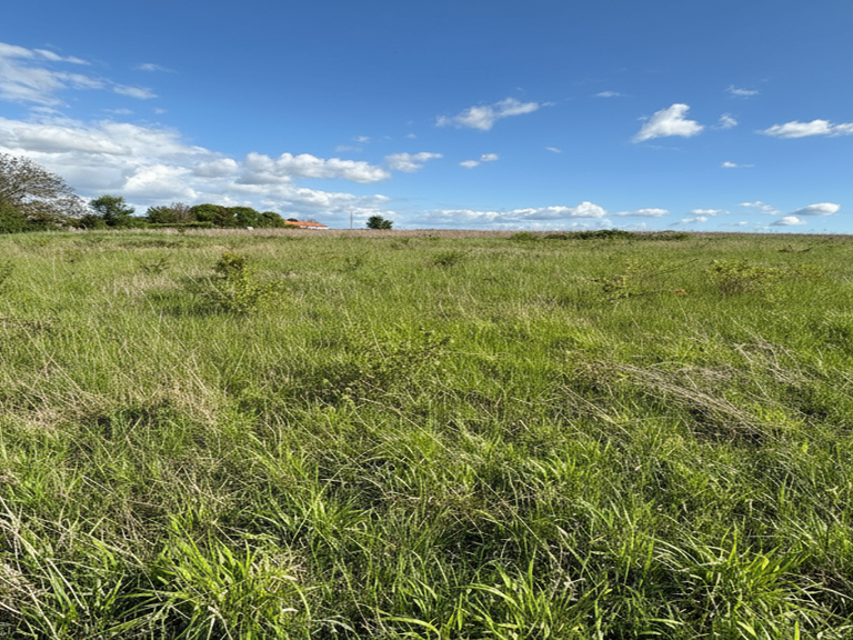 Vente Terrain à bâtir 1 420 m&sup2; — photo 1
