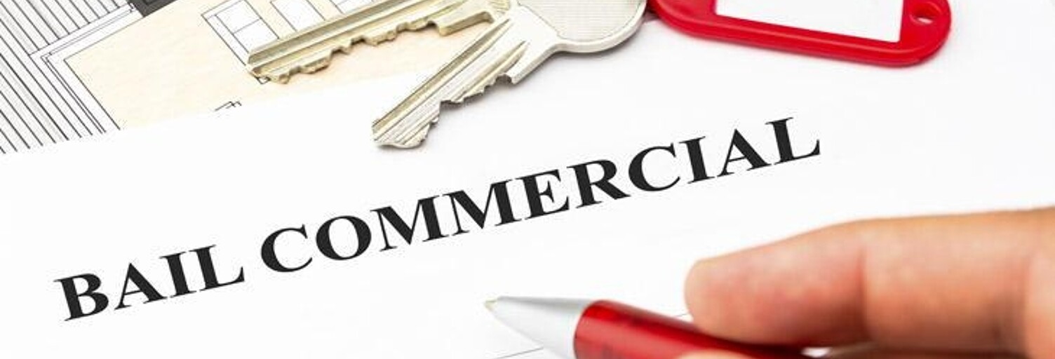 Commerce  35 m² à vendre à Ars-en-Ré (17590)