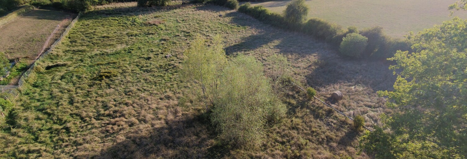 Terrain  11963 m² à vendre à Perrigny (89000)
