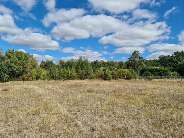 TERRAIN PLAT 1411 M2 — photo du bien