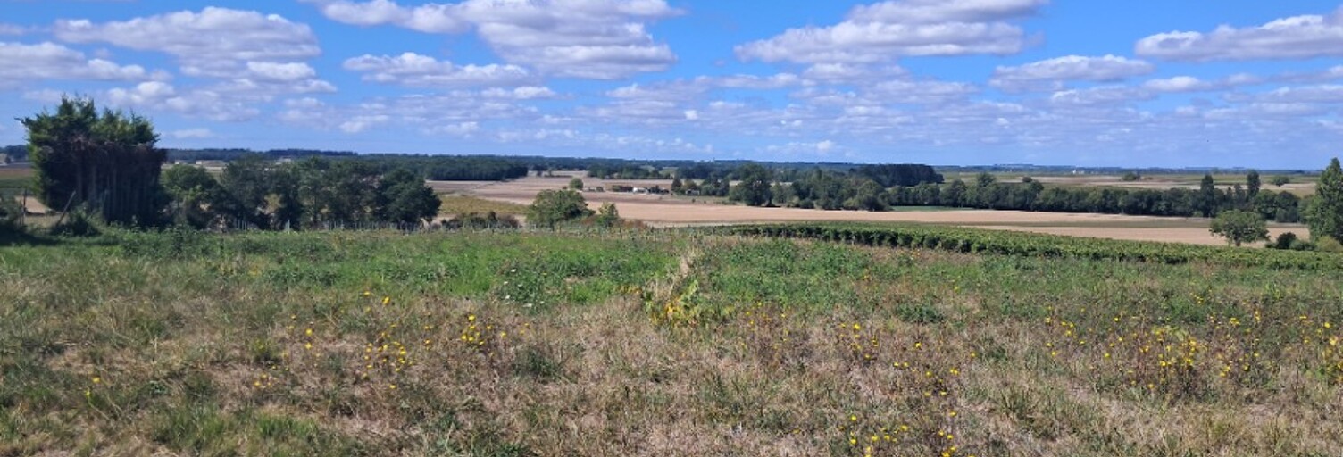 Terrain  2580 m² à vendre à Saint-Maigrin (17520)