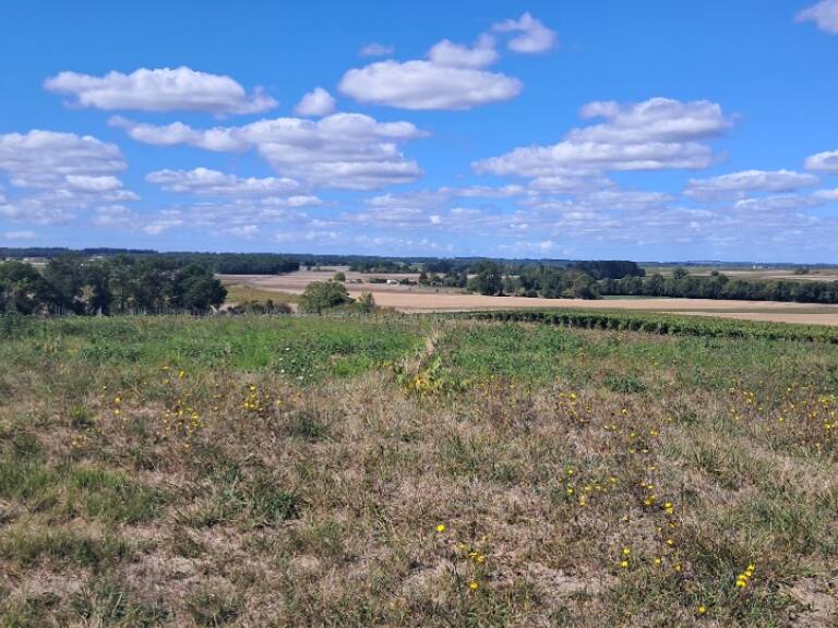 Terrain à bâtir à Saint-Maigrin (17520) — photo 1