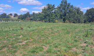 Terrain  2256 m² à vendre à Boisredon (17150)