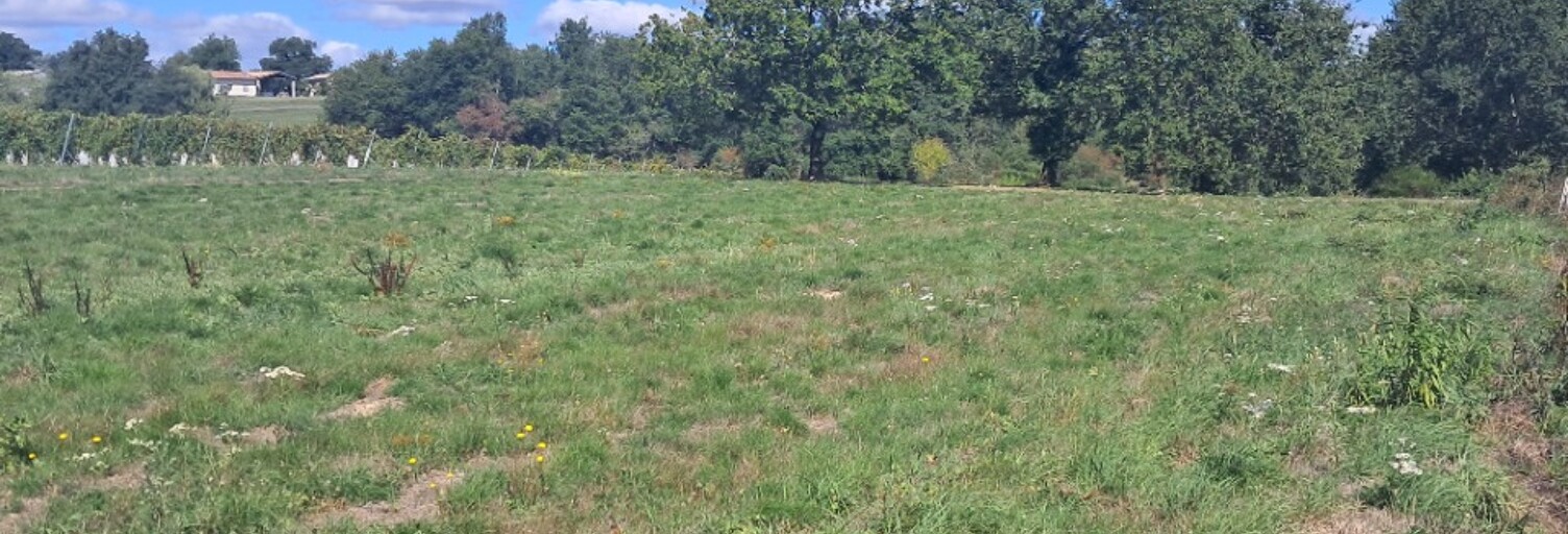 Terrain  2256 m² à vendre à Boisredon (17150)