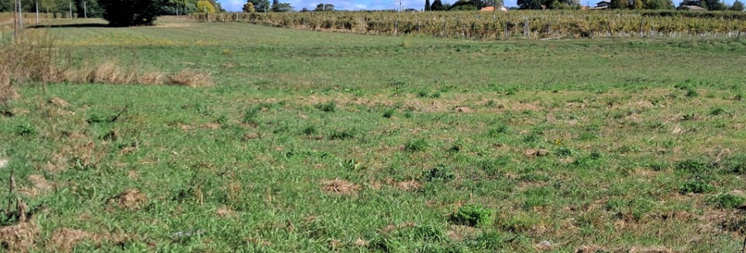 Terrain  1673 m² à vendre à Montendre (17130)