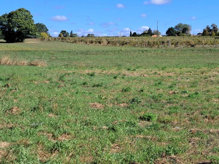 Terrain à bâtir à Montendre (17130) — photo 1