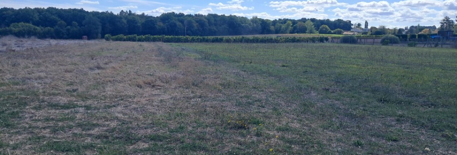 Terrain  950 m² à vendre à Meux (17500)
