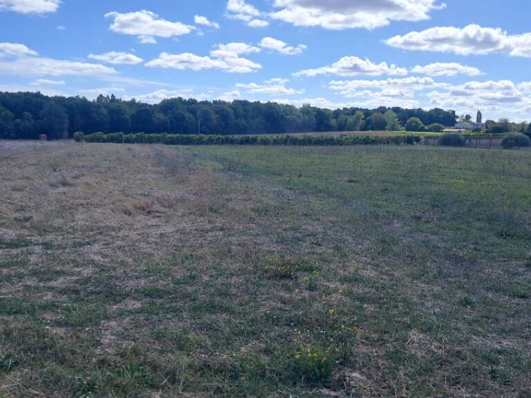 Terrain à bâtir à Meux (17500) — photo 1
