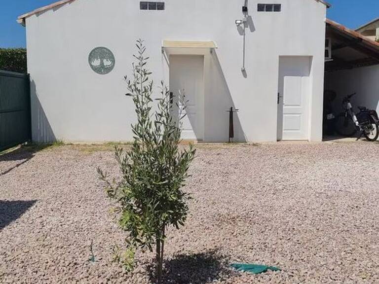 Maison de 44m2 à louer sur Afa — photo 1