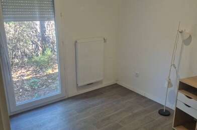 Appartement 1 pièces 380 €