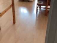 Appartement de 38m2 à louer sur Bordeaux — photo 4