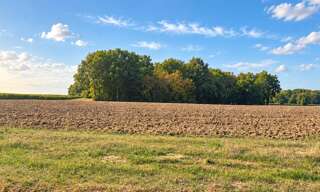 Terrain  2530 m² à vendre à Saint-Savin (33920)