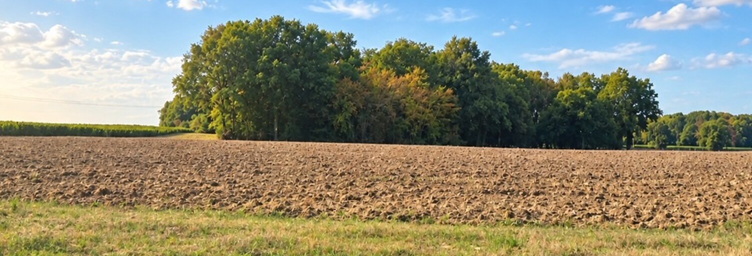 Terrain  2530 m² à vendre à Saint-Savin (33920)