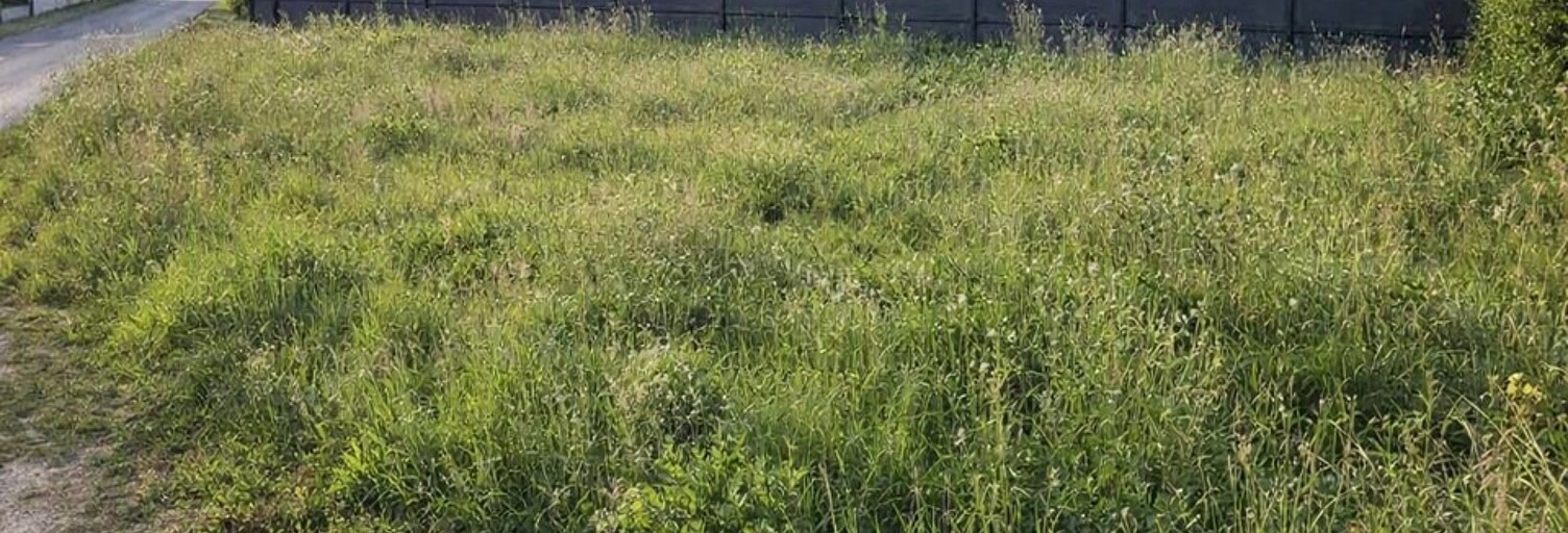 Terrain  600 m² à vendre à Peujard (33240)