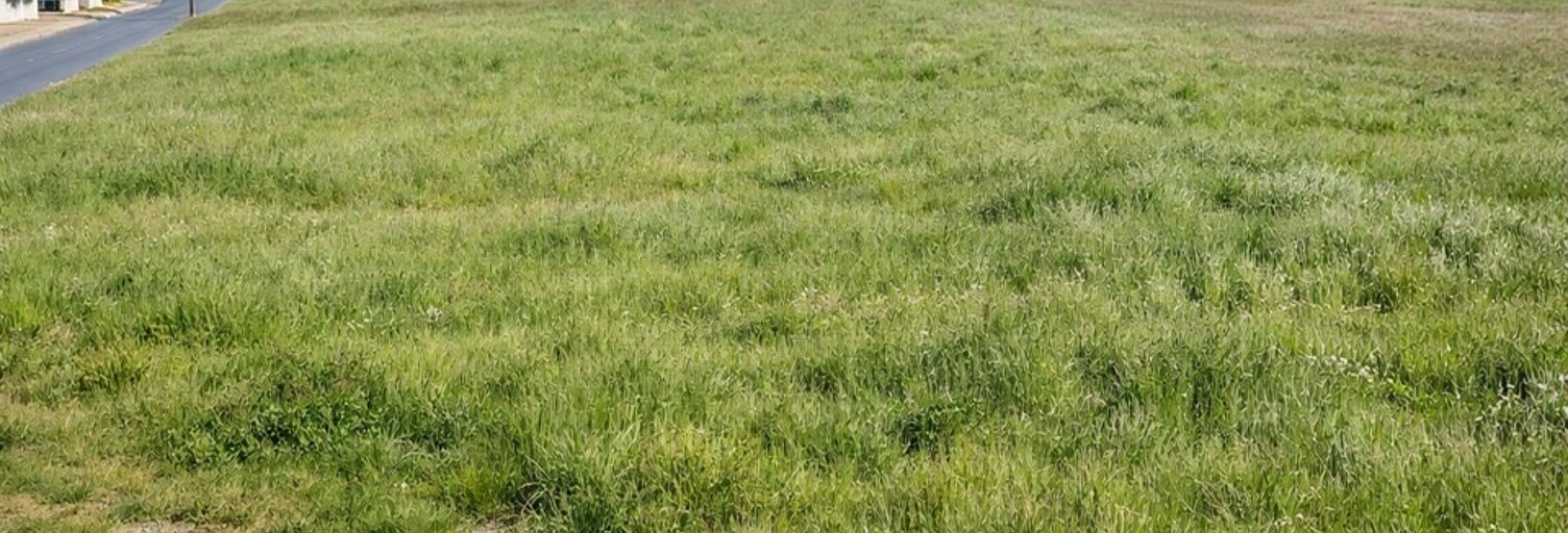 Terrain  3115 m² à vendre à Saint-Savin (33920)