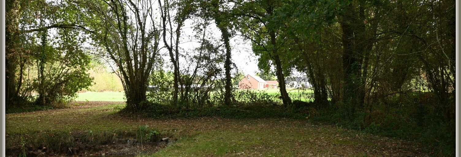 Maison 6 Pièces 164 m² à vendre à Belgeard (53440)