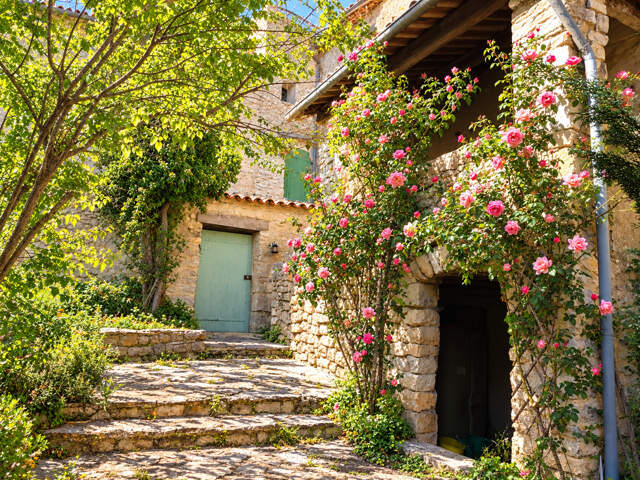Exclusivité - Demeure d’exception du XVe siècle au cœur de la Provence - Saint Trinit (Vaucluse) — photo du bien