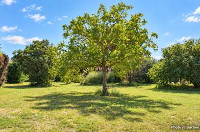 Terrain  221000 €