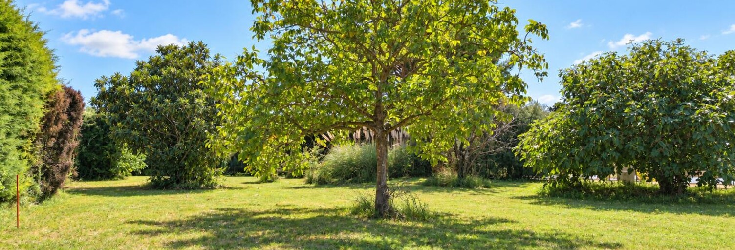 Terrain  1387 m² à vendre à Aubignan (84810)