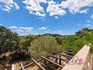 Domaine de charme : Propriété avec piscine et deux logements indépendants au coeur de la nature — photo 3