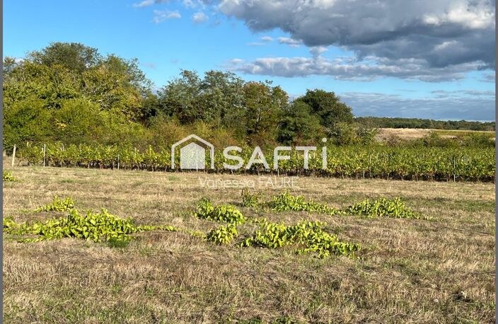 Cadre campagne et sérénité — photo 3