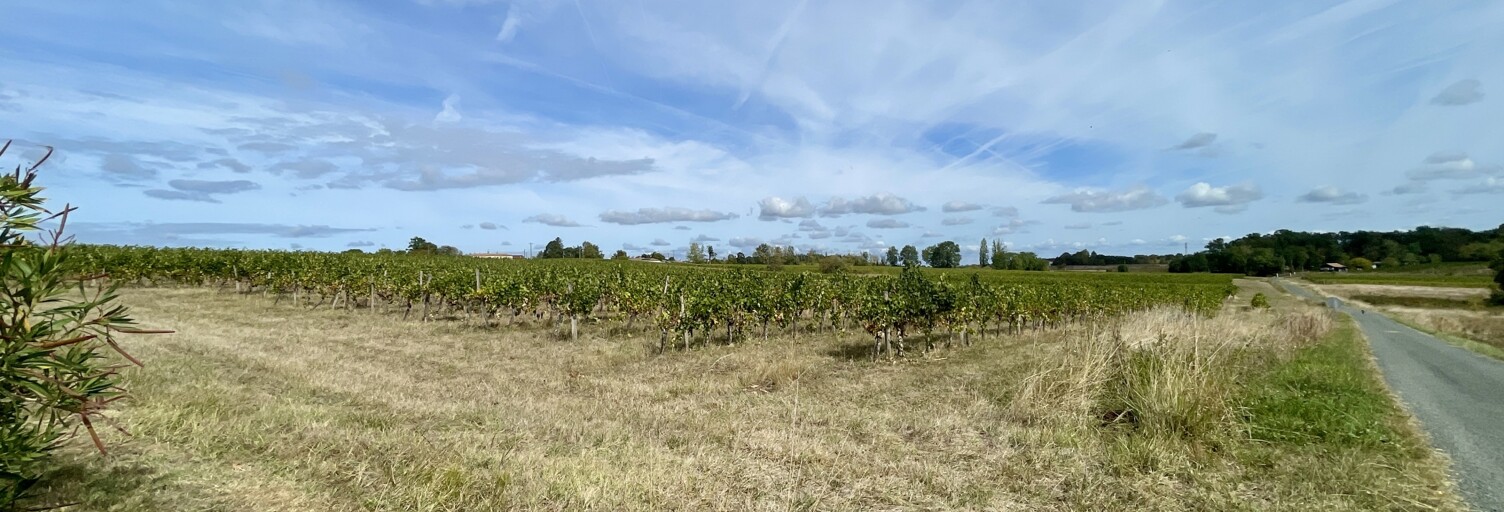 Terrain  2217 m² à vendre à Saint-Laurent-du-Bois (33540)